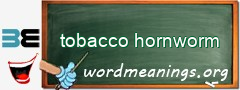 WordMeaning blackboard for tobacco hornworm